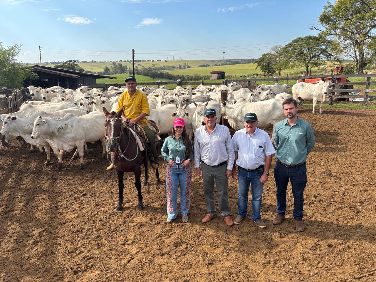 FAZENDA VALE DA CEGONHA